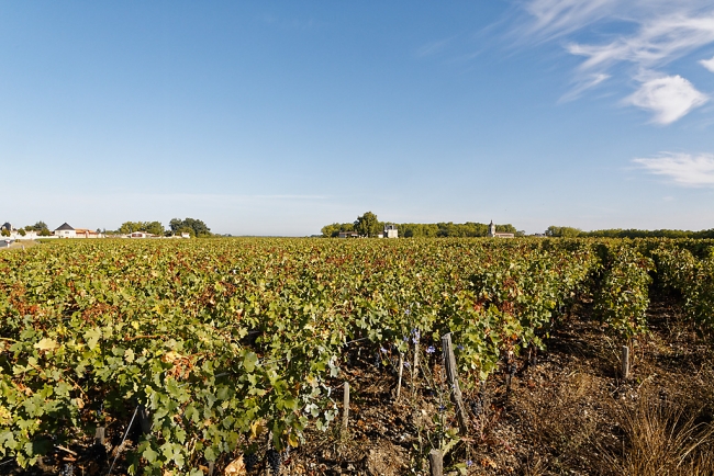 Balade avec Monique (Médoc et Blaye)-001